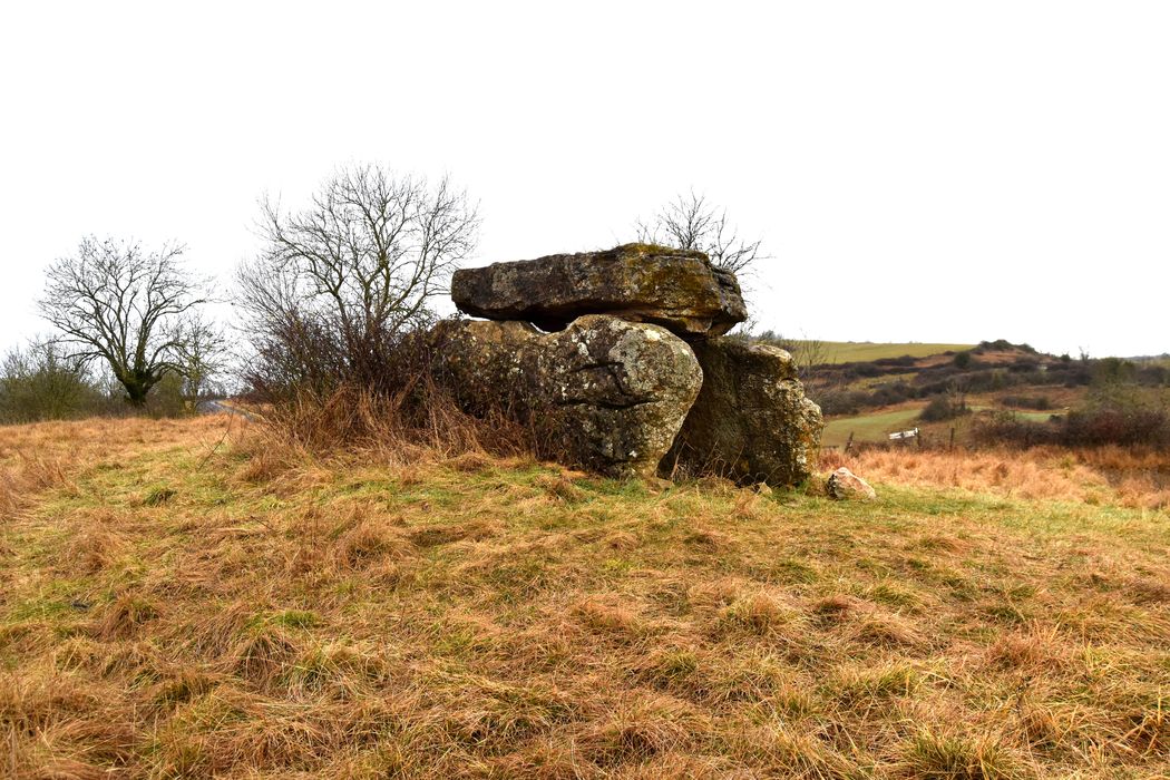 vue générale du dolmen