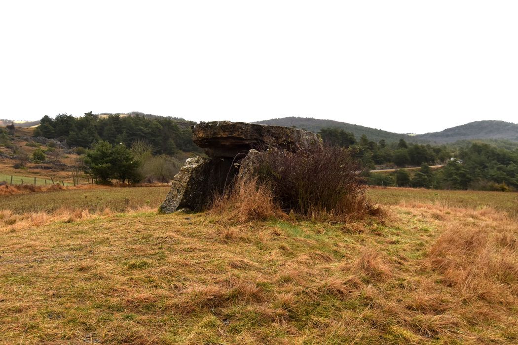 vue générale du dolmen