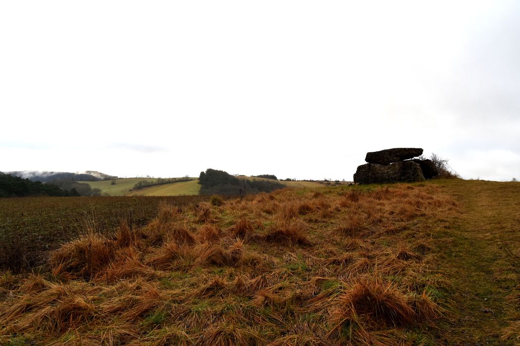 vue générale du dolmen dans son environnement