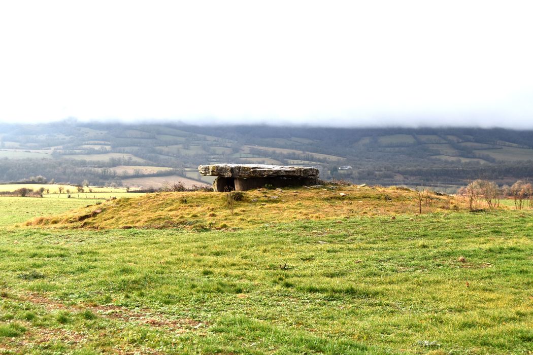 vue générale du dolmen dans son environnement