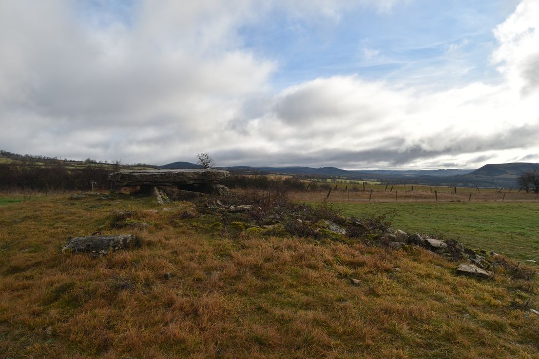 vue générale du dolmen dans son environnement