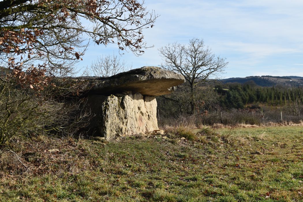 Vue partielle du dolmen