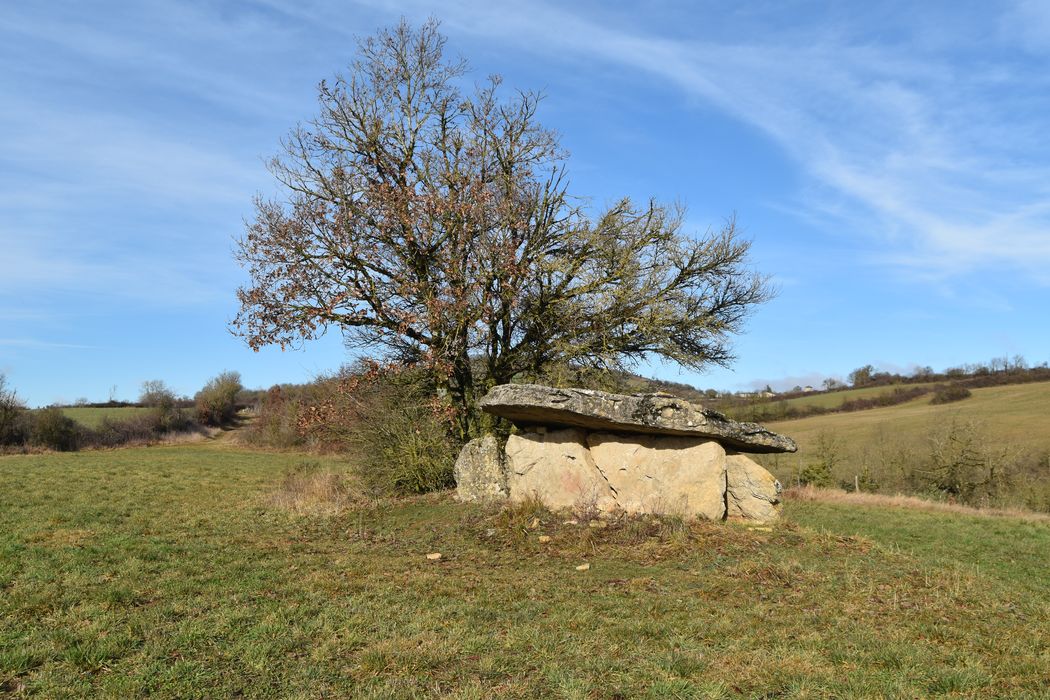 vue générale du dolmen