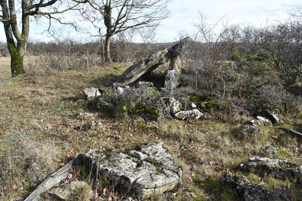 vue générale du dolmen