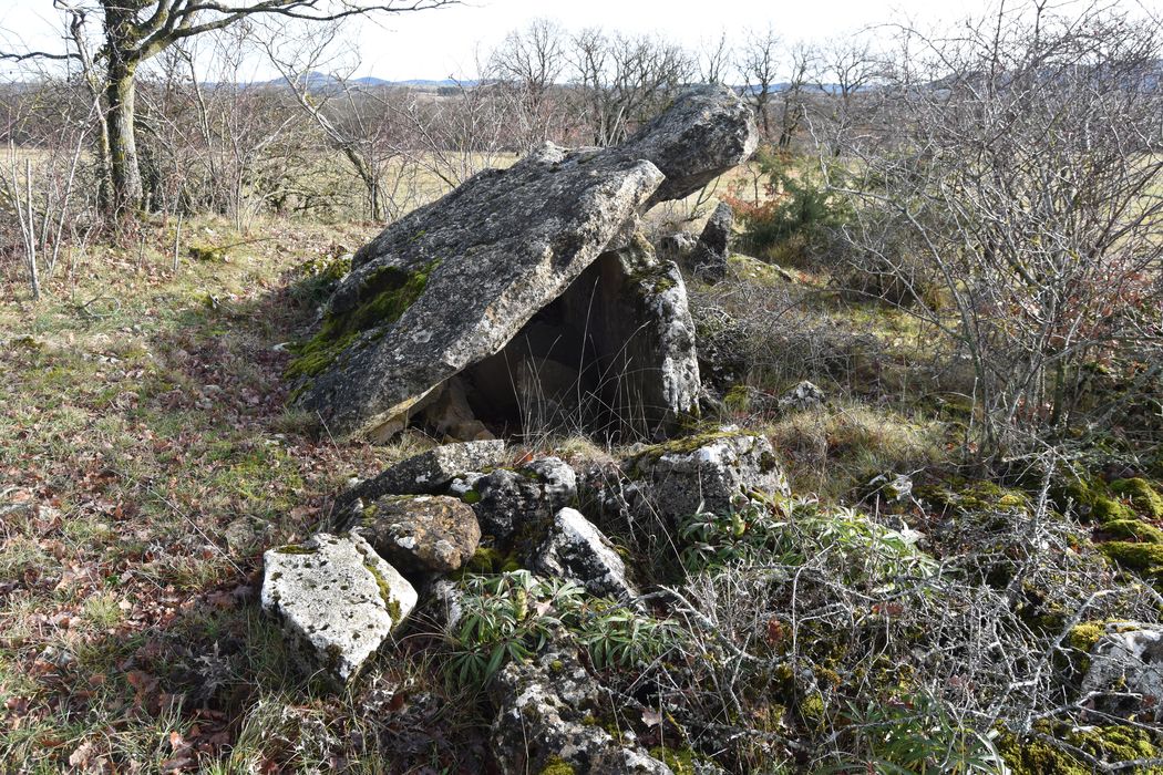 vue générale du dolmen