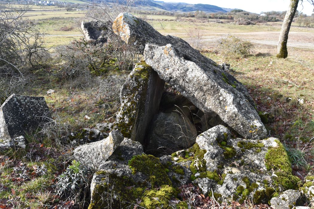 vue générale du dolmen