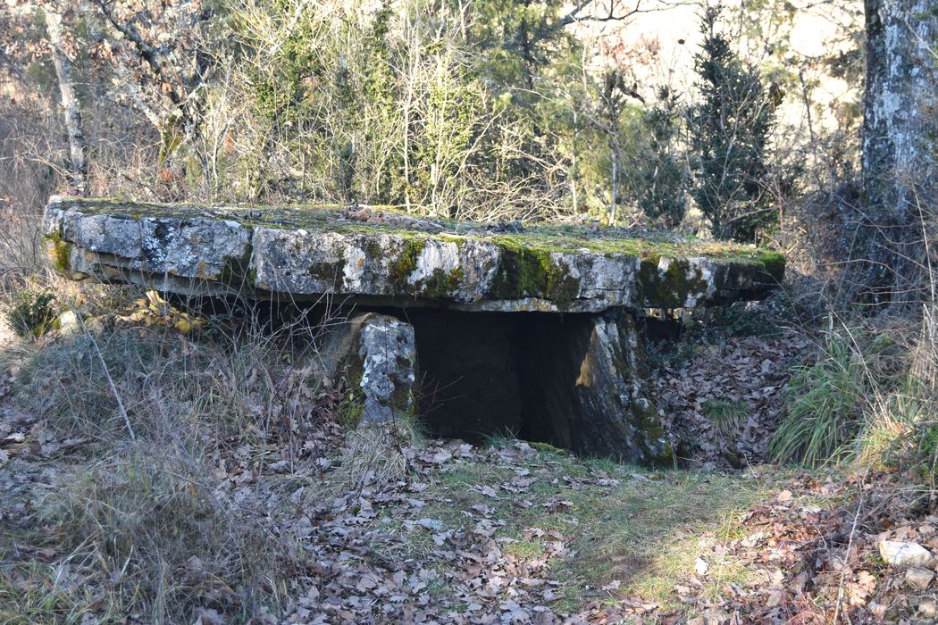 vue générale du dolmen