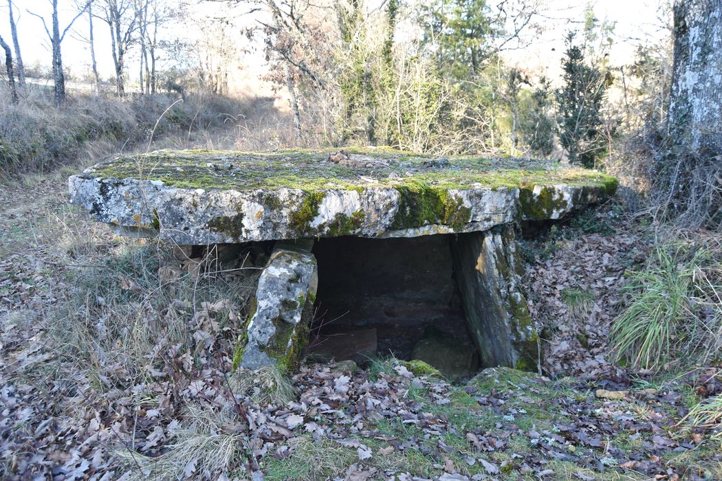 vue générale du dolmen