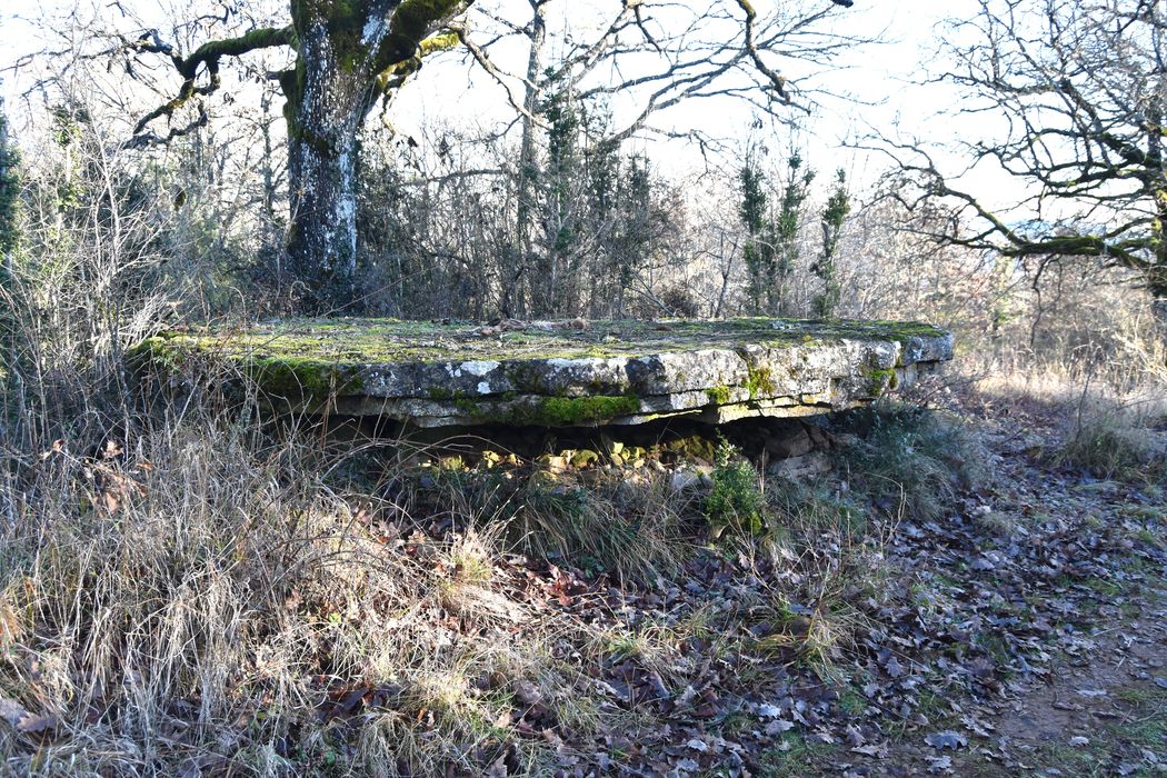 vue partielle du dolmen