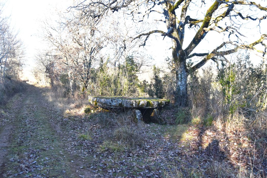 vue générale du dolmen dans son environnement