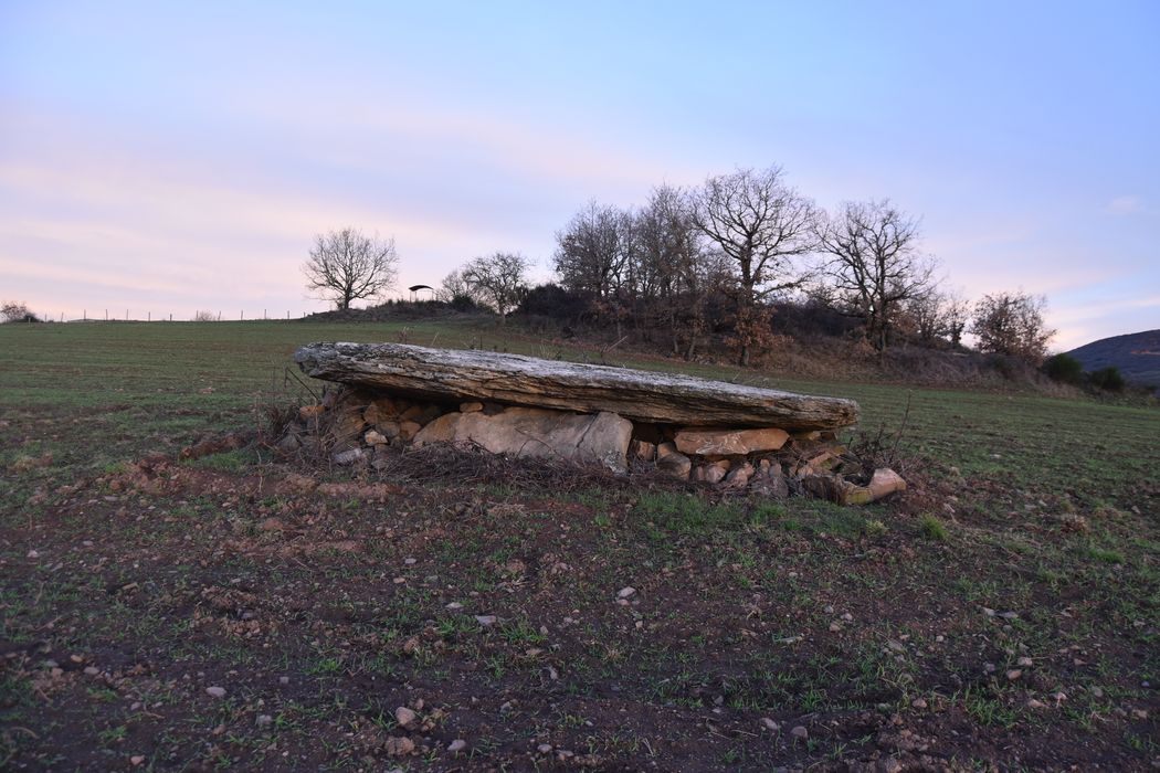 vue générale du dolmen