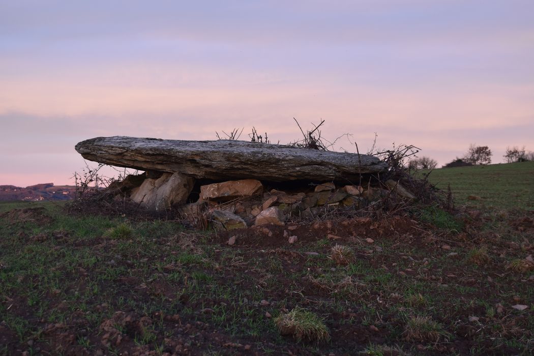 vue générale du dolmen