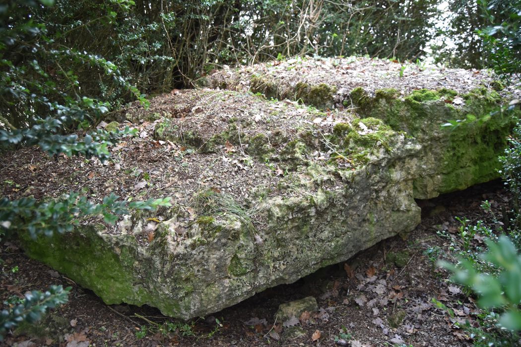 vue partielle du dolmen