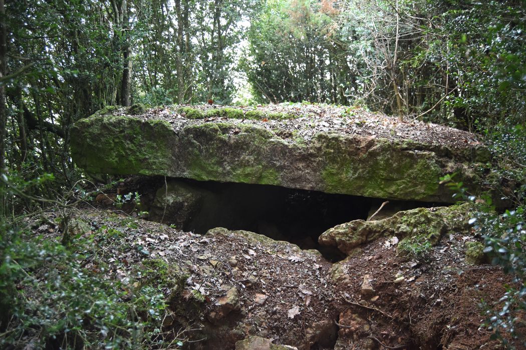 vue partielle du dolmen