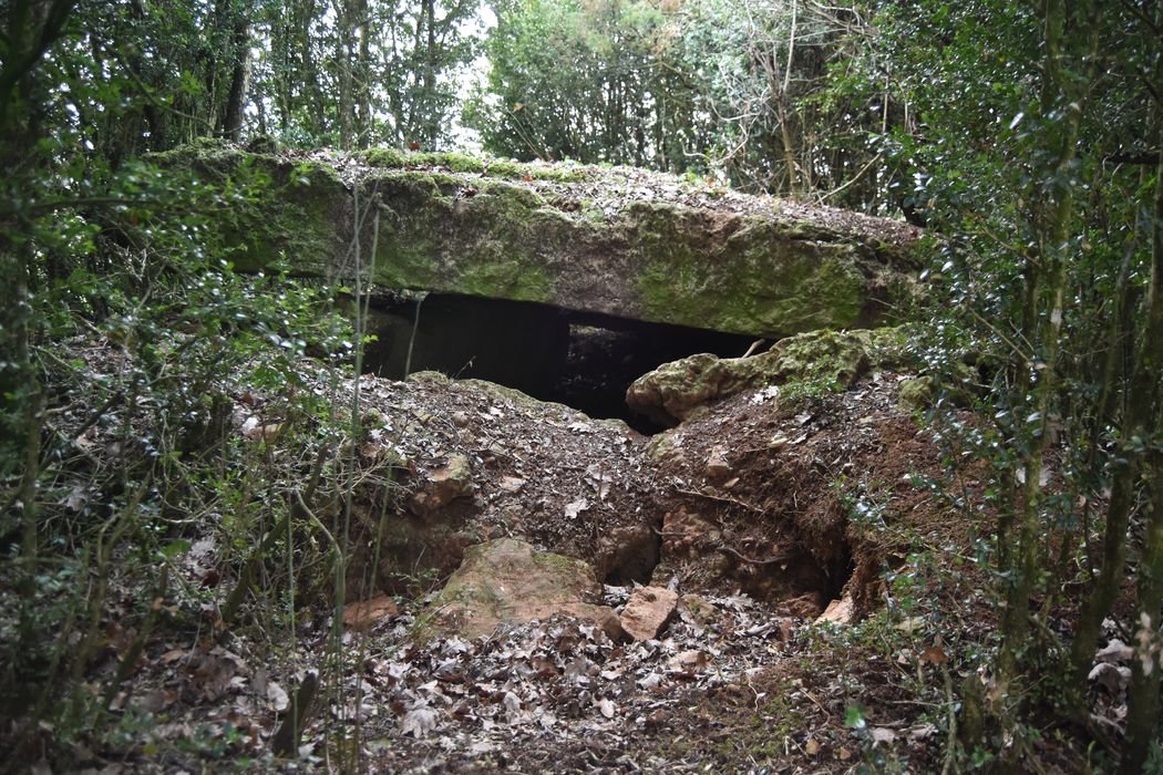 vue partielle du dolmen