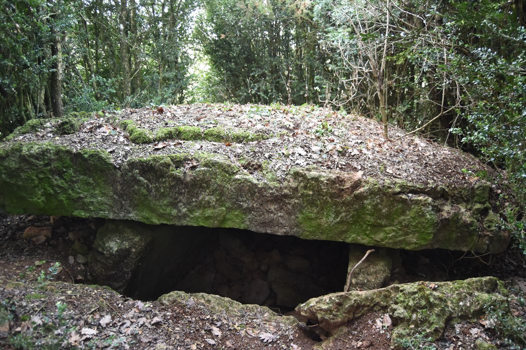 vue partielle du dolmen