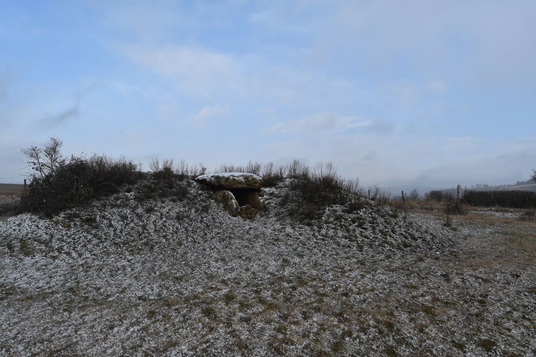 vue générale du dolmen dans son environnement