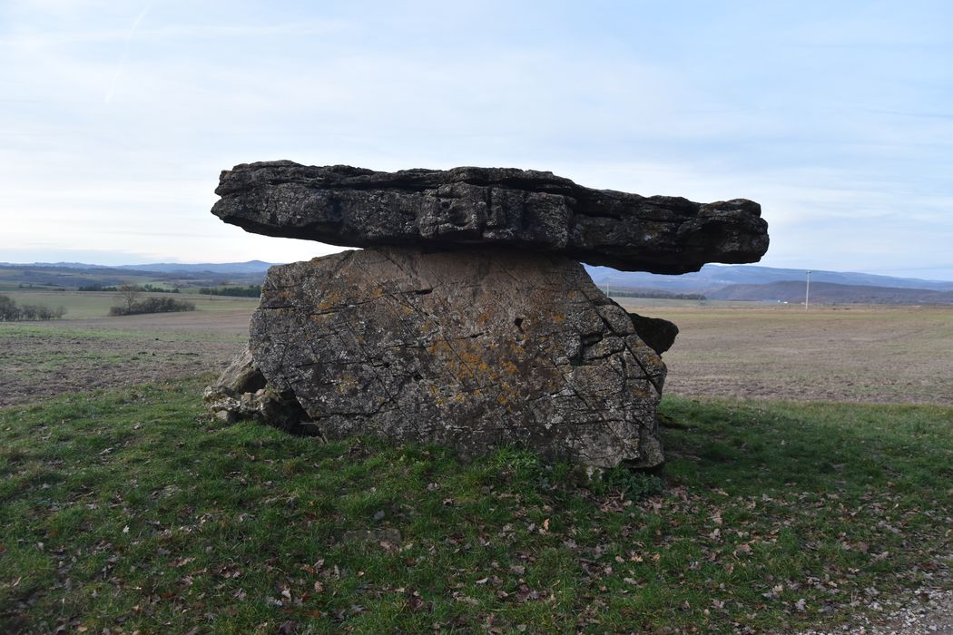 vue générale du dolmen