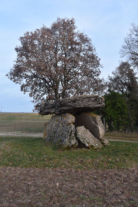 vue générale du dolmen