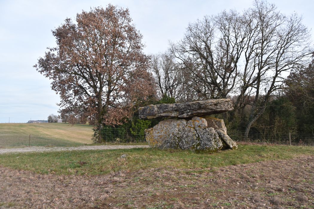 vue générale du dolmen dans son environnement