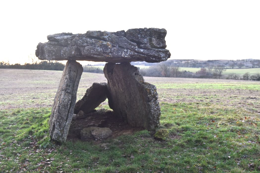 vue générale du dolmen