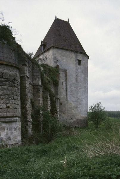 Tour d'angle et mur d'enceinte en ruines