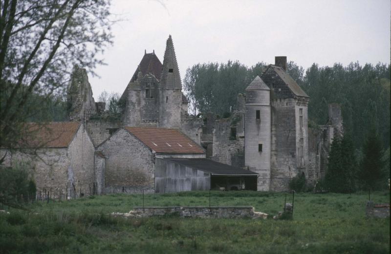 Ruines du château : poterne, logis et bâtiments sur parc