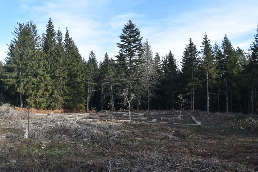 vue générale du site dans son environnement depuis l'Est