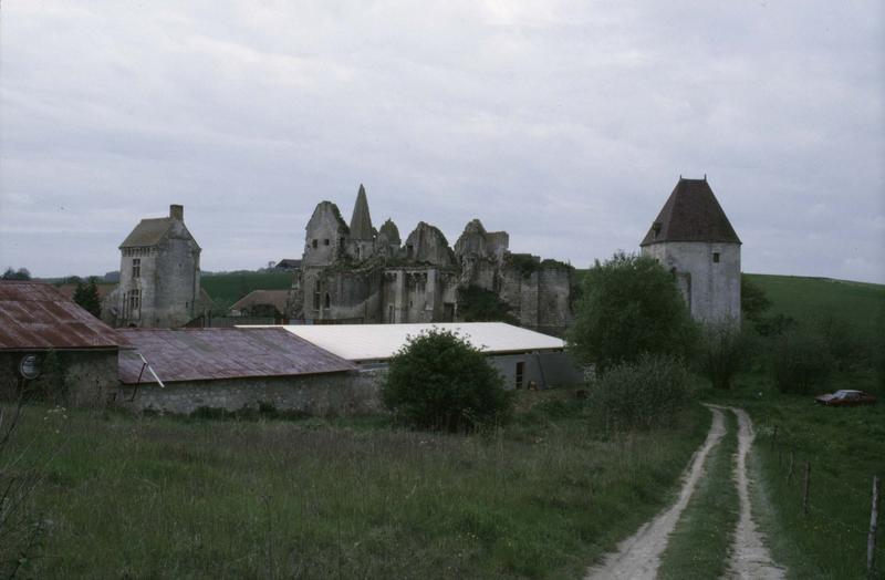 Ruines du château : poterne, logis et bâtiments sur parc