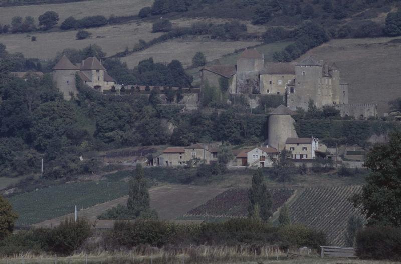 Vue générale du village, ensemble du château