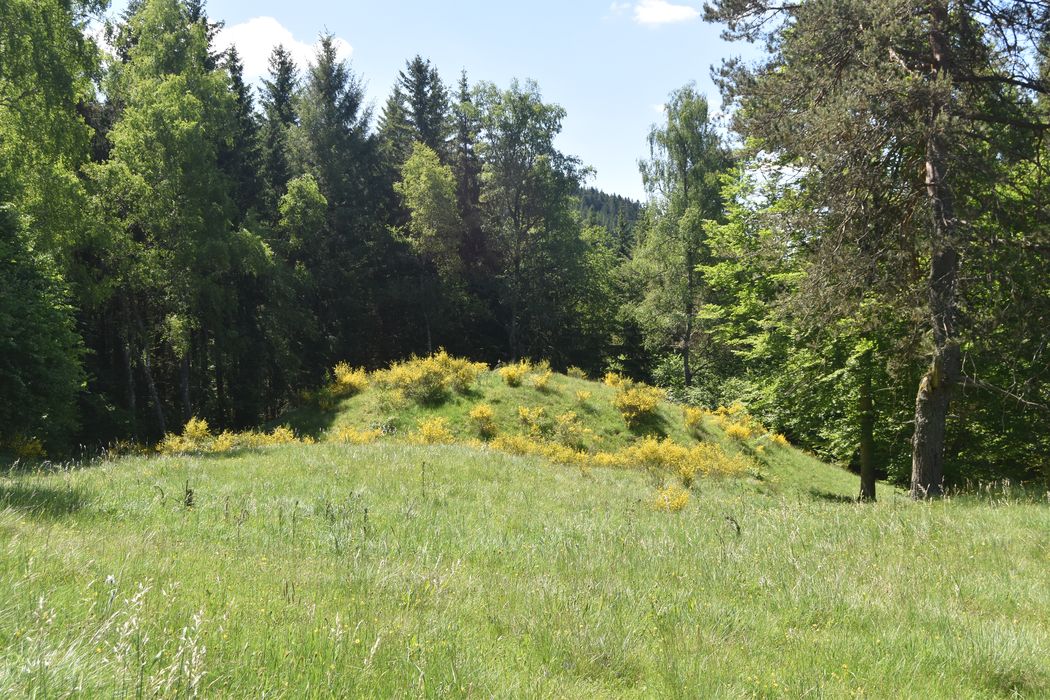 vue générale de la motte dans son environnement depuis le Nord