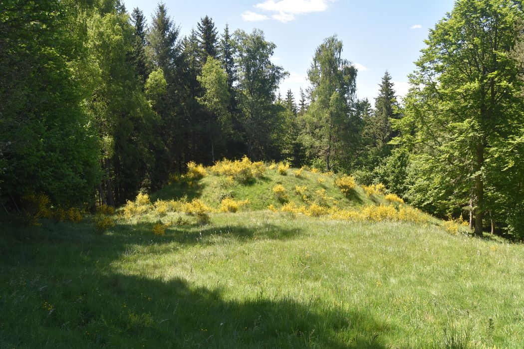 vue générale de la motte dans son environnement depuis le Nord