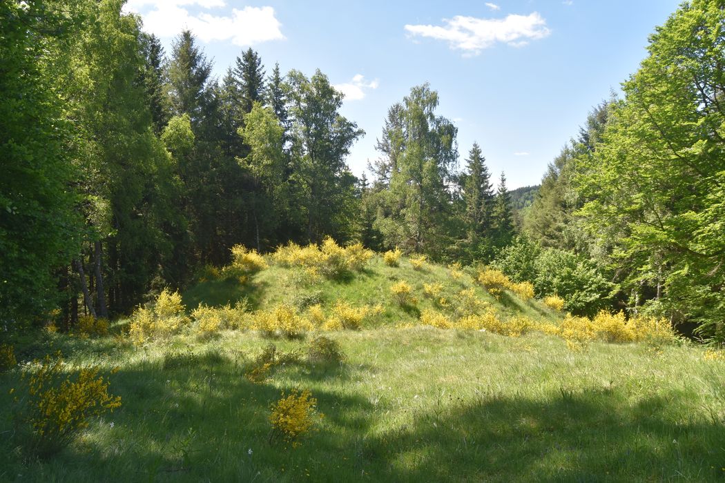 vue générale de la motte dans son environnement depuis le Nord