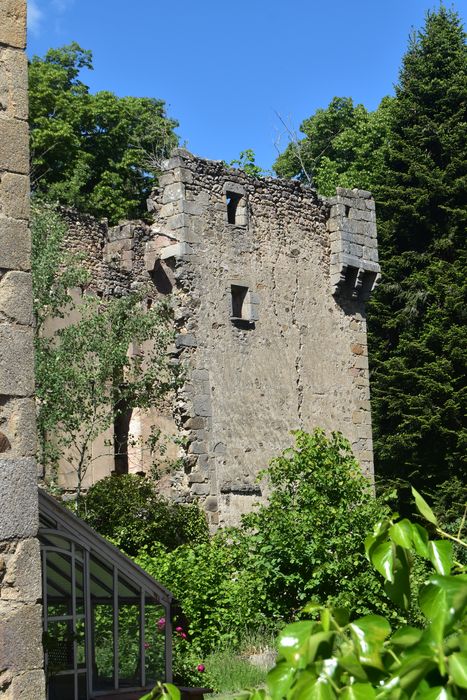 façade ruinée sud, vue partielle