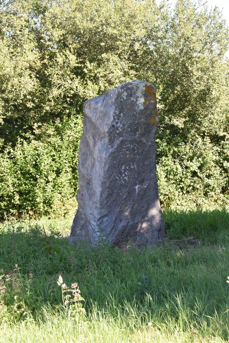 vue générale du menhir