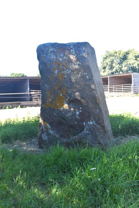 vue générale du menhir