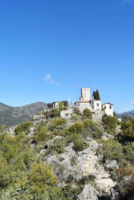 vue générale du château dans son environnement depuis le Sud