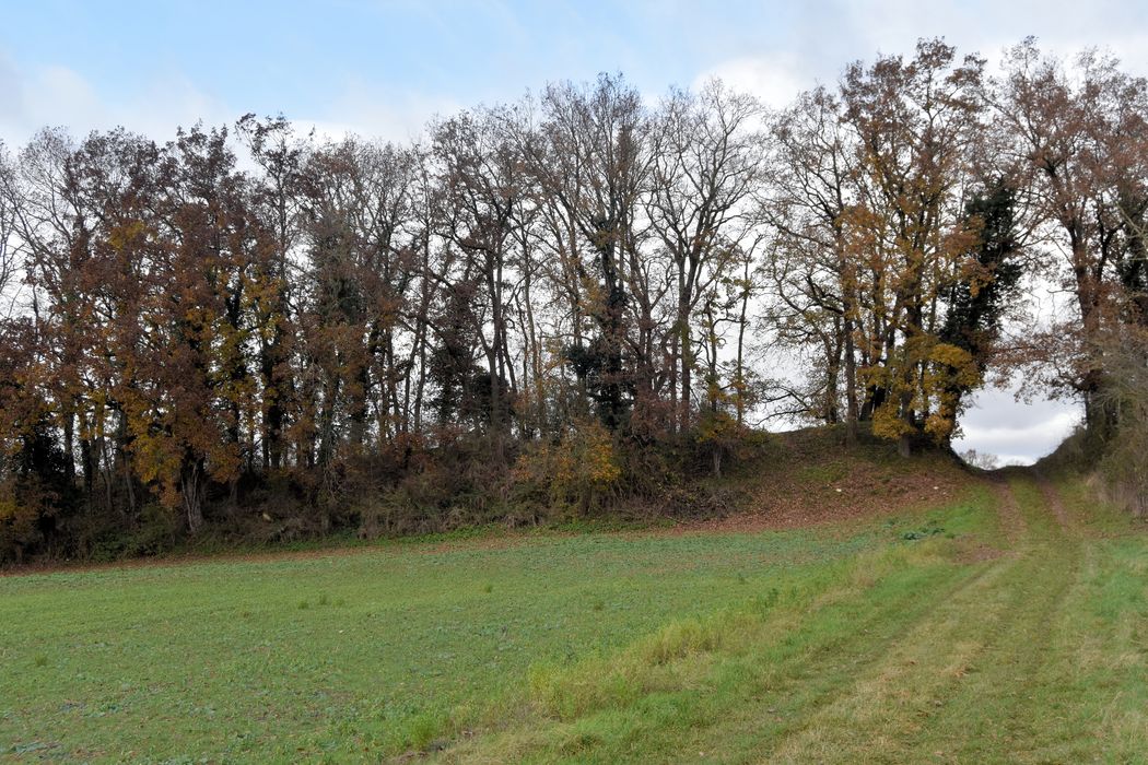 Vue générale du site depuis le Sud