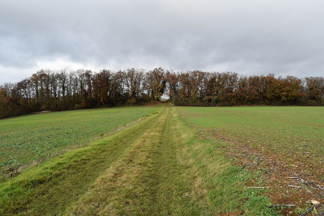 Vue générale du site depuis le Sud