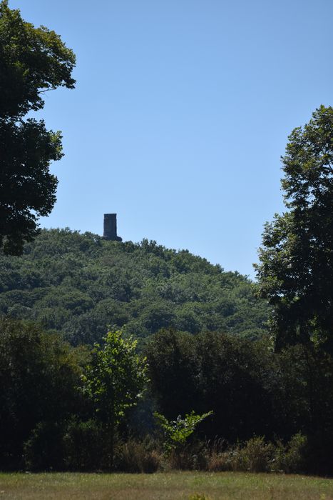 vue partielle de la tour dans son environnement depuis la grande perspective sud du château du Mesnil-Voisin