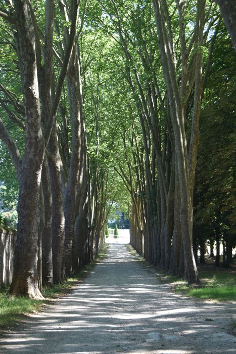 allée longeant le mur nord-ouest