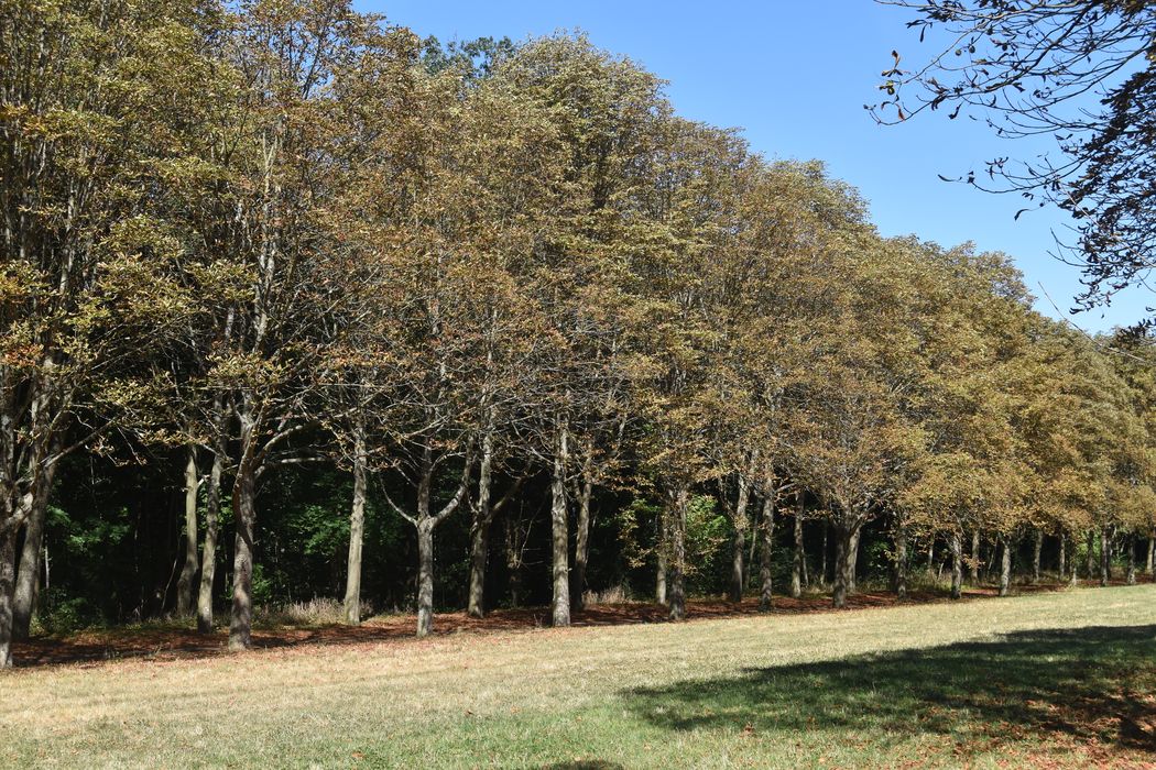 avenue de la Lanterne, vue partielle