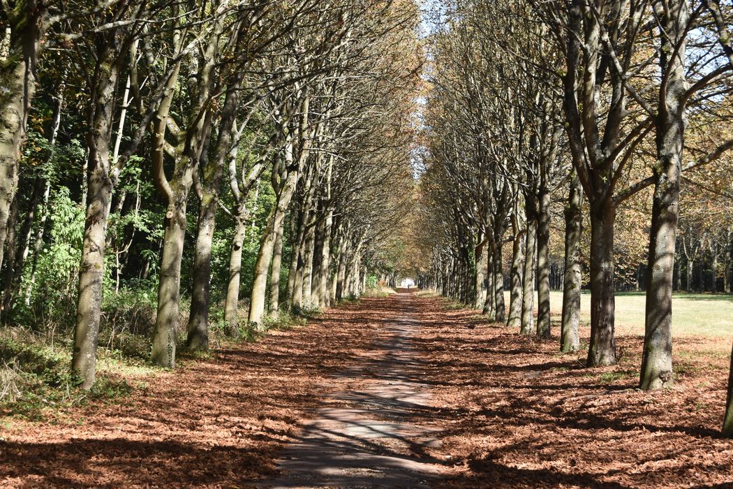 avenue de la Lanterne, allée latérale