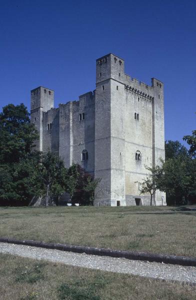 Donjon sur parc