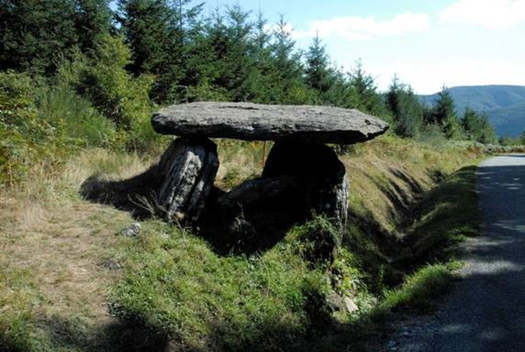 Vue générale du dolmen