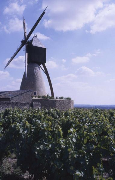 Ensemble du moulin cavier, vignes au premier plan