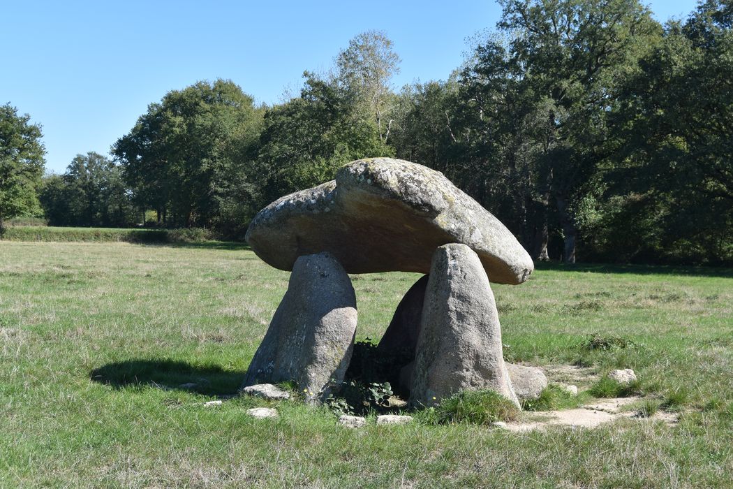 Vue générale du dolmen