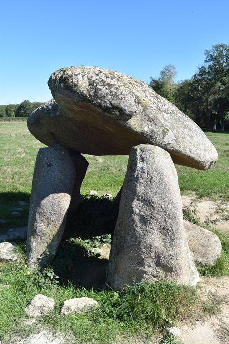 Vue générale du dolmen