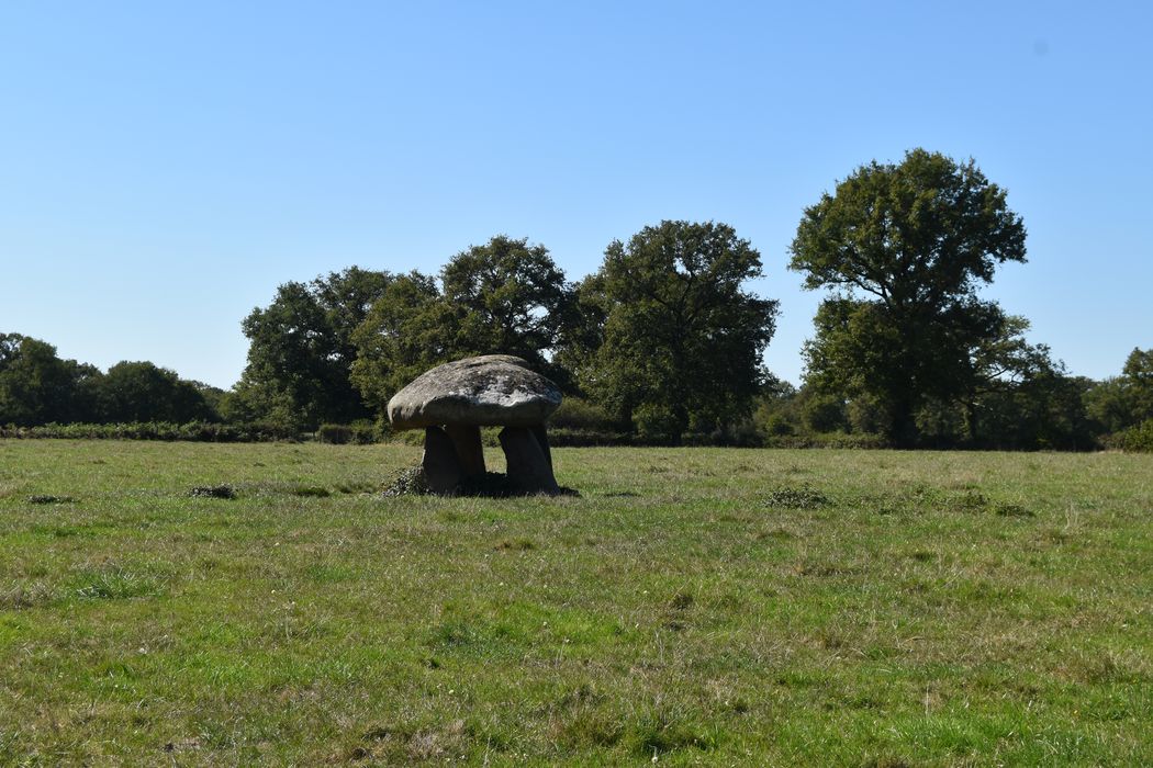 Vue générale du dolmen dans son environnement