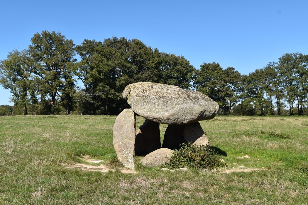 Vue générale du dolmen dans son environnement